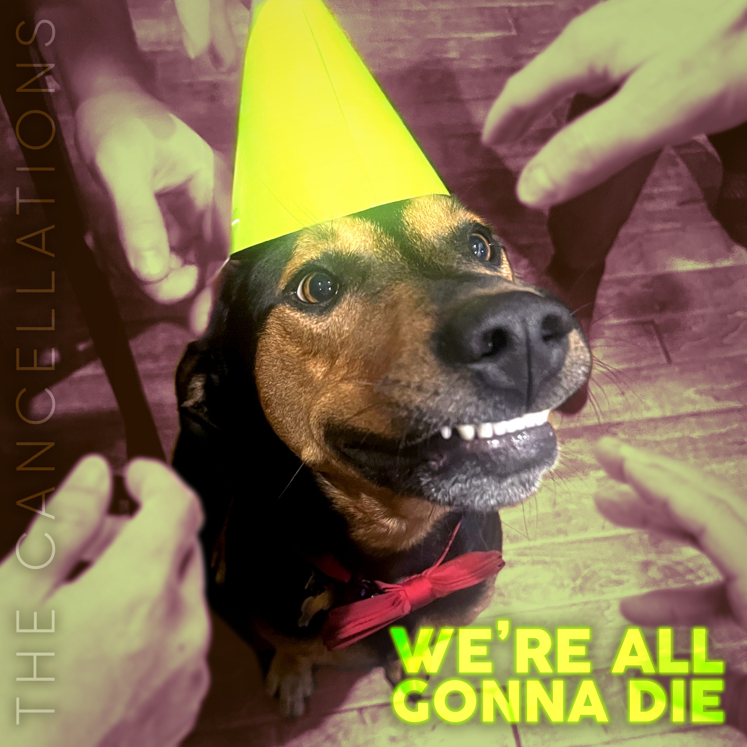 The album cover for "Smile, We're All Gonna Die" featuring a smiling dog wearing a party hat and a bowtie while several masculine hands reach towards him. The song title "We're All Gonna Die" appears in the lower righthand corner in a hideous yellow color that matches the party hat.
